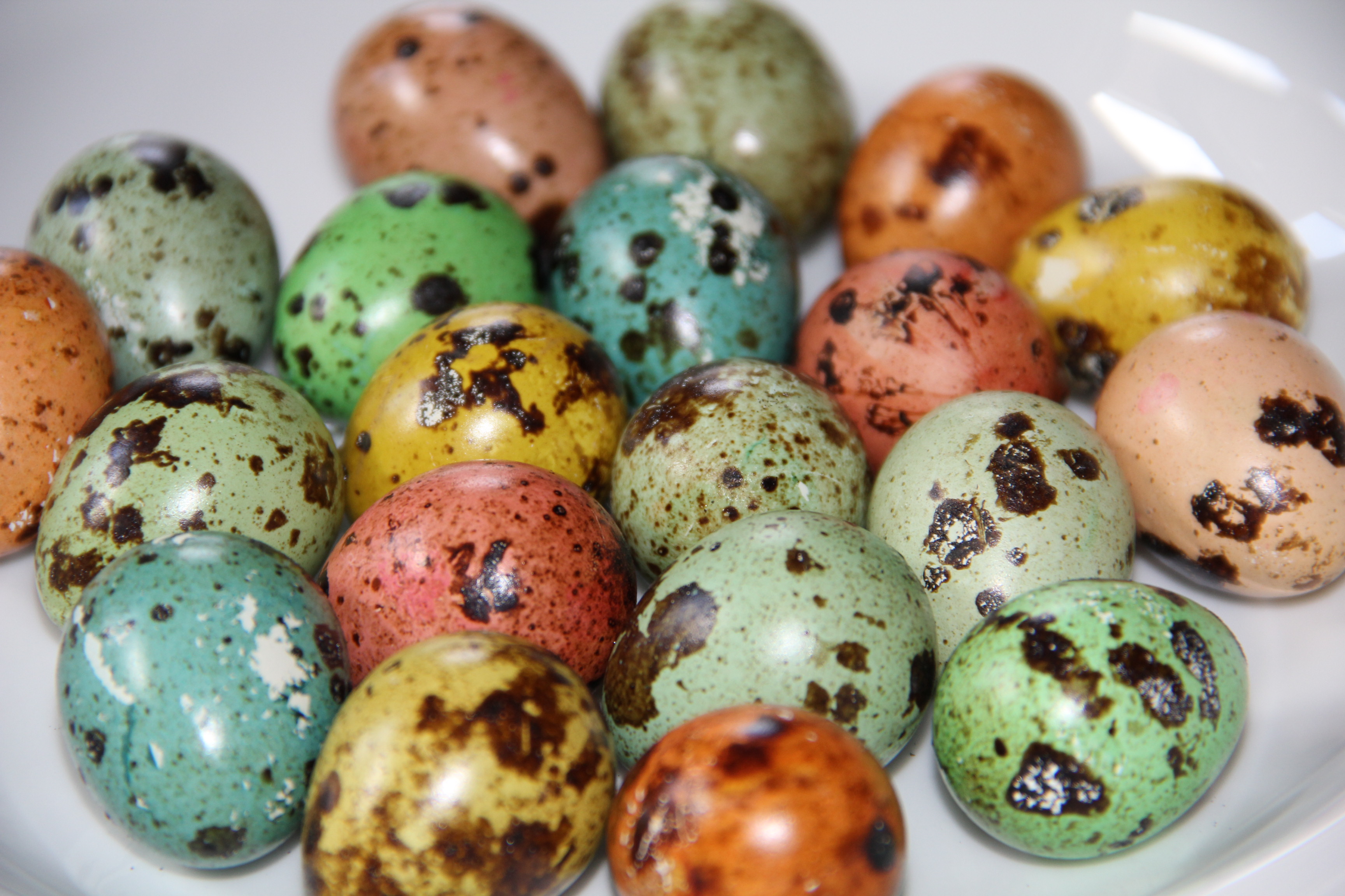 Перепелиные яйца разноцветные